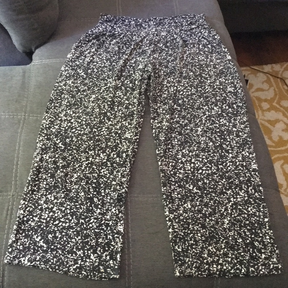 Ann Taylor Loft leggings